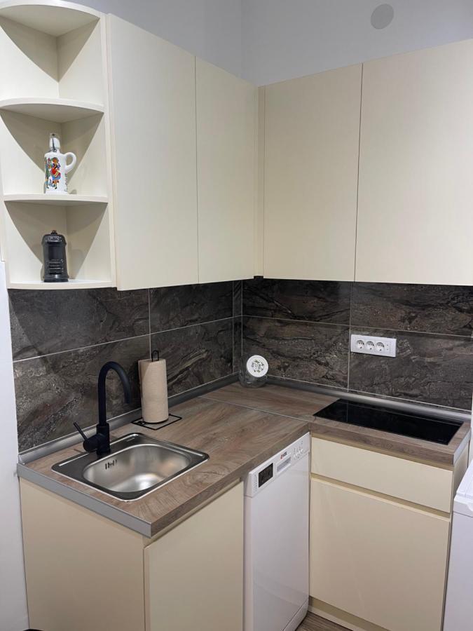 Enjoyment Apartment Nis Bagian luar foto